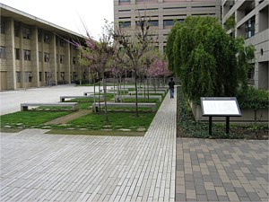 Narrow Modular Pavers 66