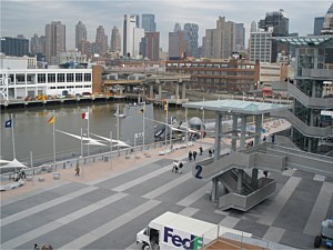 Narrow Modular Pavers 113