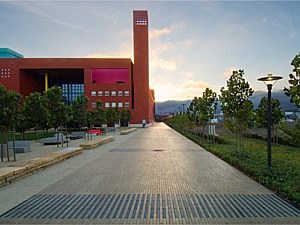 Narrow Modular Pavers 110